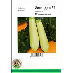 Насіння кабачка Іскандер F1, 100 насіння — ультраранній гібрид (40-45 днів), салатовий Seminis