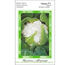 Насіння цвітної капусти Немо F1, 20 насінин - ранній гібрид (60-70), Clause