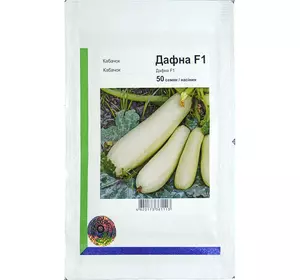 Дафна F1 (Дефні F1) насіння кабачка, 50 насінин — раннього 40-45 дн. світло-зеленого (Syngenta)