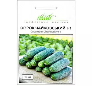 Чайковський F1 насіння огірка, 10 насінин — партенокарпічний огірок, Rijk Zwaan