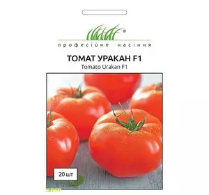 Насіння томату Уракан F1, 20 нас — ранній, низькорослий, Професійне насіння