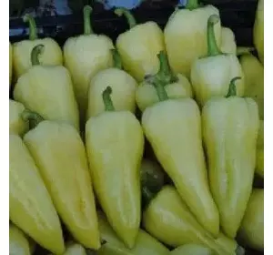 Луміна (Білозерка) насіння перцю, 500 г — перець солодкий, конічний (Елітний ряд)