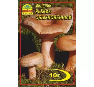 Міцелій гриба Рижик Звичайний, 10 г