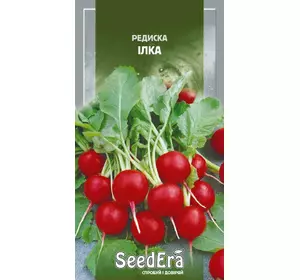 Насіння редис Ілка F1, 2 г — ранній, урожайний, SeedEra