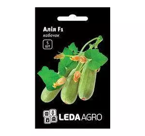 Насіння кабачка Алія F1, 5 насіння — ранній гібрид, світлий LEDAAGRO