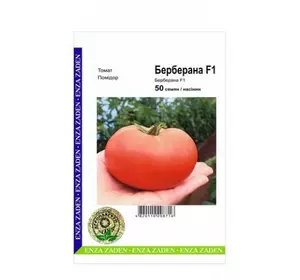 Берберана F1семена томата, 50 насіння — індитермінантний, високоурожайний, Enza Zaden