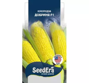 Насіння цукрової кукурудзи Добриня F1, насіння 20 — рання супер солодка, SeedEra