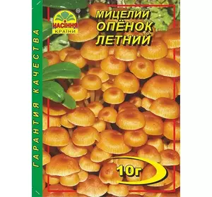 Міцелій гриба Опеньок літній, 10 г