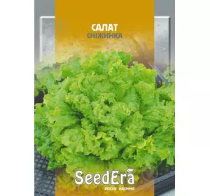 Насіння салату Сімпсон, 1 г — зелений, листового типу, SeedEra