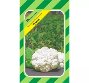 Насіння цвітної капусти Гудмен, 20 насінин — середньо-рання (75 днів), Bejo