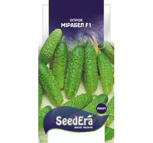Мірабел F1 насіння огірка, 10 насінин — партенокарпічний огірок, SeedEra