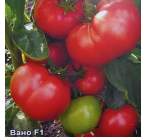 Насіння томату Вано F1, 20 насінин — Середньоранній (110-130 дн), Елітний ряд