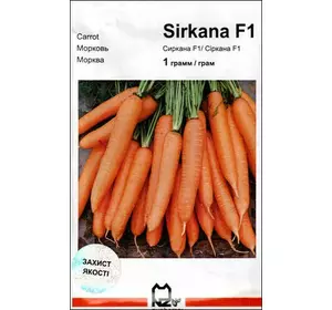 Сіркана F1 насіння моркви, 1 г — 130 днів, Nunhems Zaden,