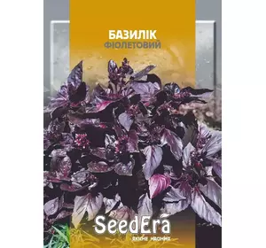 Насіння базиліка Фіолетовий, 5 г — фіолетовий, салатний, SeedEra