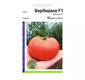 Берберана F1 насіння томата, 10 насіння — індитермінантний, ранній, Enza Zaden