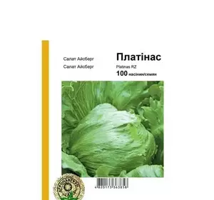 Насіння салату Платінас, 100 шт — зелений, Айсберг