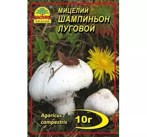 Міцелій гриба Шампіньйон луговий, 10 г