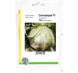 Сантамарія F1 насіння капусти, 100 насінин — кольорова, середня (80 днів), Rijk Zwaan