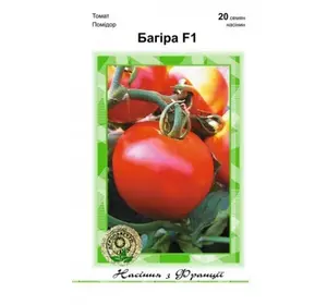 Багіра F1 насіння томату, 20 насіння — раннє (65 днів), детермінантне Clause