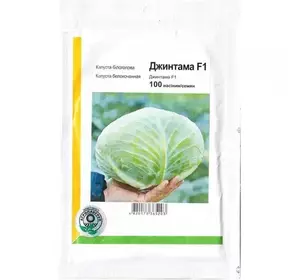 ДЖИНТАМА F1 / GINTAMA F1, насіння 100 — капуста білокачанна, Rijk Zwaan