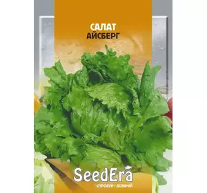 Насіння салату Айсберг, 10 г — зелений, качанного типу, SeedEra