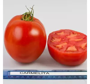 Насіння томату Кармеліта F1, 20 насінин — ранній (90-95дн), червоний, індетермінантний, дійсний до 01.23, УЦІНКА