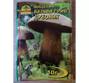 Міцелій гриба Білий гриб, Дубовик, 10 гр (зерно)