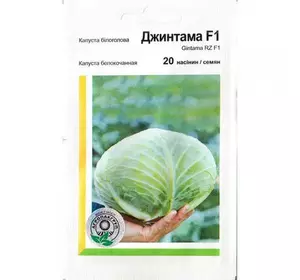 ДЖІНТАМА F1 / GINTAMA F1, 20 насіння — капуста білочана, Rijk Zwaan