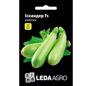 Насіння кабачка Іскандер F1, 50 насіння - ультраранній гібрид (40-45 днів), салатовий, LEDAAGRO