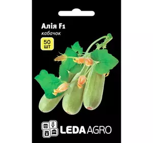 Насіння кабачка Алія F1, 50 насіння — ранній гібрид, світлий LEDAAGRO