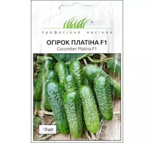 Платіна F1 насіння огірка, 10 насіння — партенокарпічний огірок, ранній