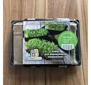Мікс Смаку набір для вирощування мікрозелені (крес-салат, гірчиця, цибуля) LEDAAGRO
