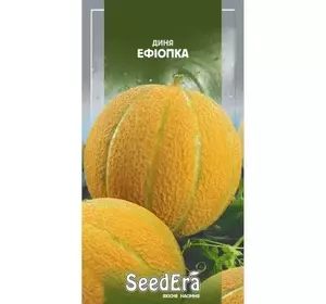Насіння дині Ефіопка, 2 г — середньоранній сорт, солодка, SeedEra