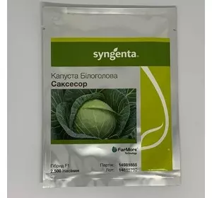 Насіння капусти Саксесор F1 Syngenta, 2500 насіння — капуста білочена, середньопоздня