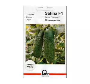 Насіння огірка Сатіна F1, 10 насінин — партенокарпічний огірок, Nunhems Zaden