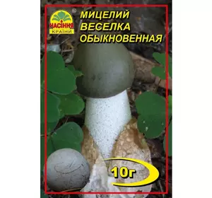 Міцелій гриба Веселка (лікувальний), 10 г