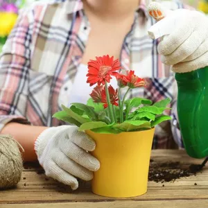 Захист для кімнатних рослин Захист для кімнатних рослин