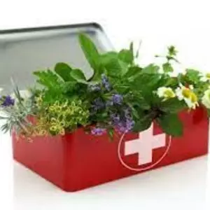 Фунгіциди Фунгіциди