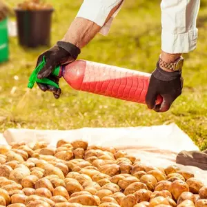 Протруйники Протруйники