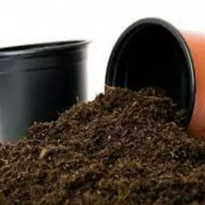 Субстрати, грунти, торфи Субстрати, грунти, торфи