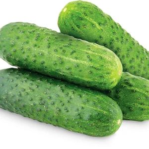 Огірки бджолозапильні Огірки бджолозапильні