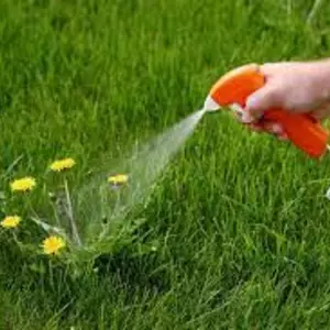 Гербіциди Гербіциди