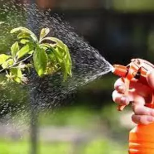 Засоби для обробки саду від шкідників Засоби для обробки саду від шкідників