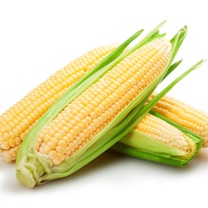 Кукурудза Кукурудза