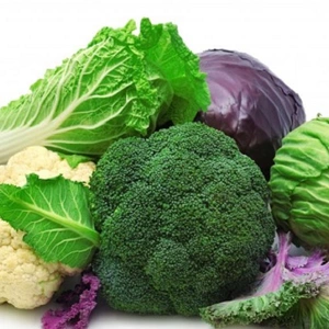 Капуста Капуста