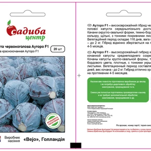 Капуста червоноголова Капуста червоноголова