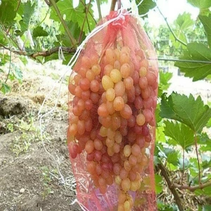 Сітка на виноград